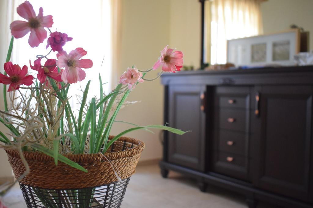 Olive Villas Anapaftíria 外观 照片